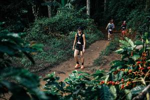 BIB: 
                            <button type="button" onclick="openModal(25842096)" class="btn btn-primary btn-sm float-right btn-popup" data-toggle="modal" data-target=".modal-high-quality">
                        <i class="fas fa-shopping-cart"></i> Add to Cart
                    </button>
                                            <button type="button" onclick="isThisMe(25842096, true)" class="btn btn-success btn-sm float-right btn-popup btn-isme hidden" data-toggle="tooltip" data-placement="bottom" title="นี่คือรูปของคุณใช่ไหม คลิกที่นี่เพื่อเอาเข้าอัลบั้ม">
                        <i class="fas fa-plus"></i> Add to album
                    </button>
                    <button type="button" onclick="isThisMe(25842096, false)" class="btn btn-warning btn-sm float-right btn-popup btn-isnotme hidden">
                        <i class="fas fa-ban"></i> Remove from album
                    </button>